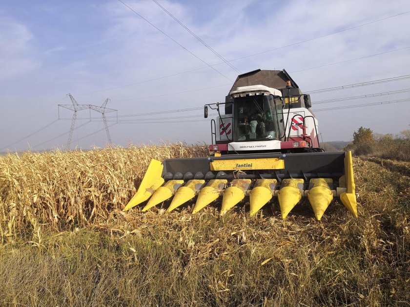 Жатка для уборки кукурузы