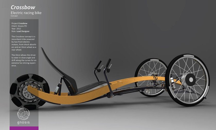 Лигерад концепт