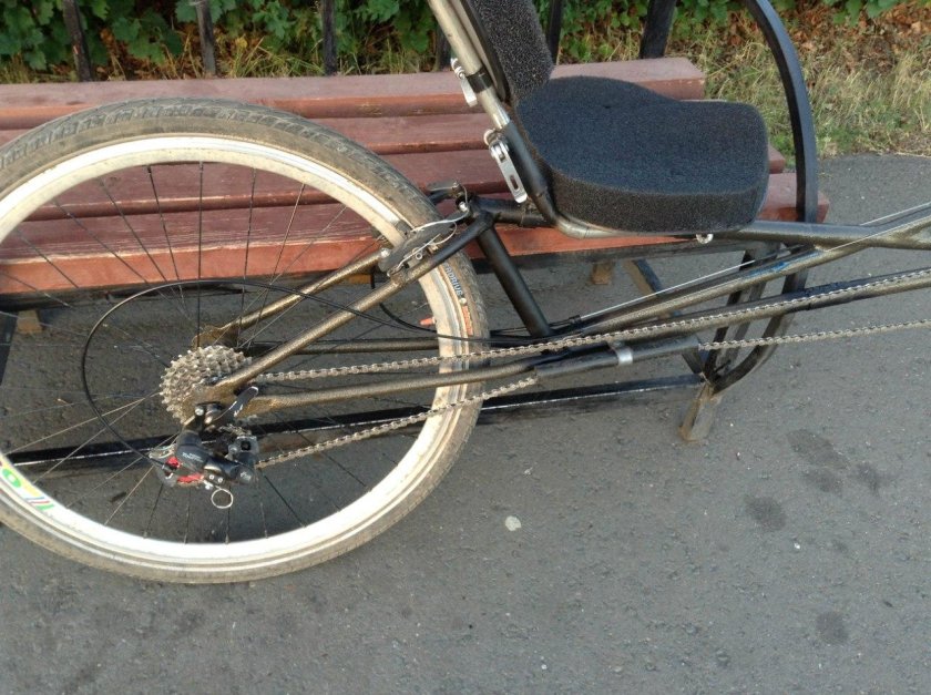 Лигерад питон-лоурайдер