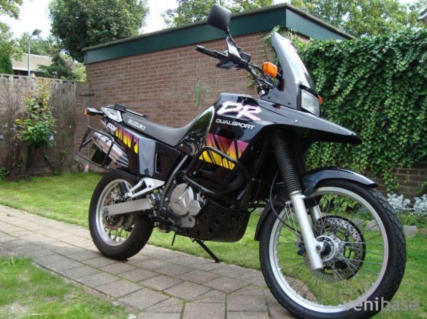 Suzuki Dr 800 big