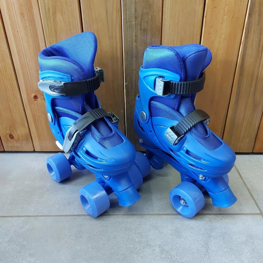 Роликовые коньки двухрядные