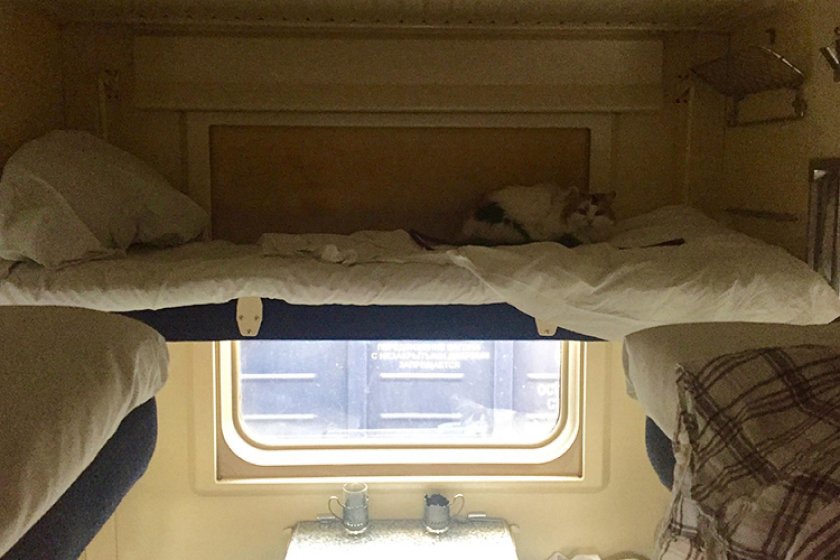 Демидовский экспресс купе 2э