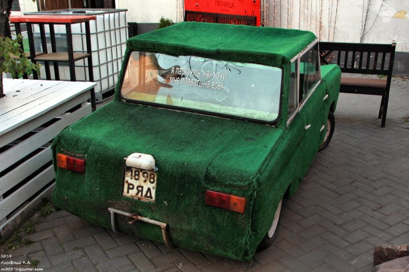 Ока инвалидка