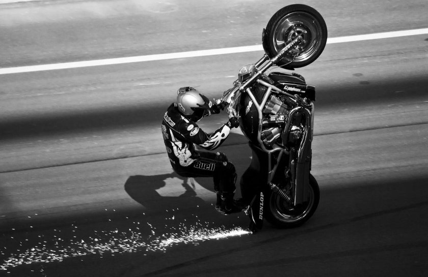 Вилли стант