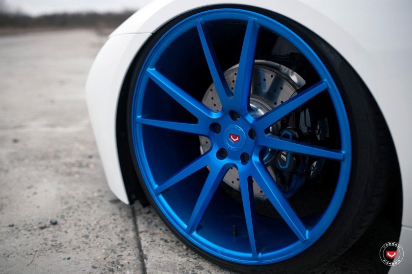 Vossen 301
