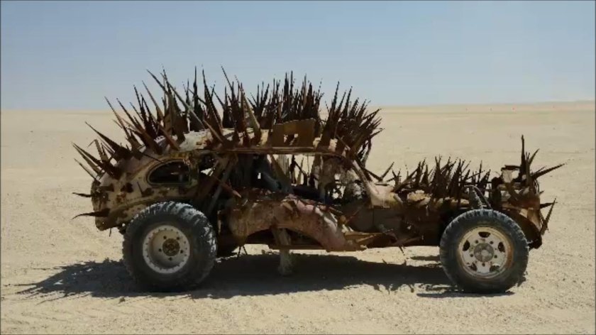 Безумный Макс дикобразы