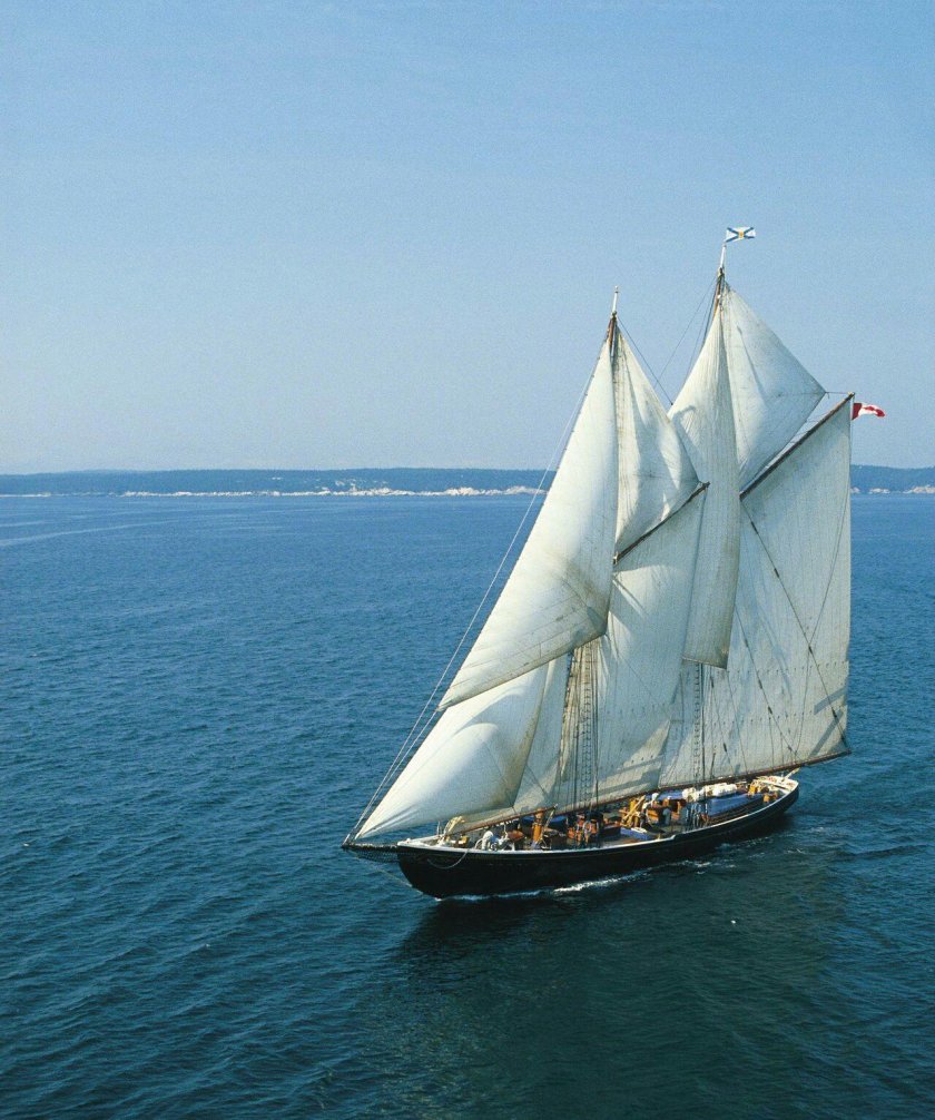 Брамсельная шхуна