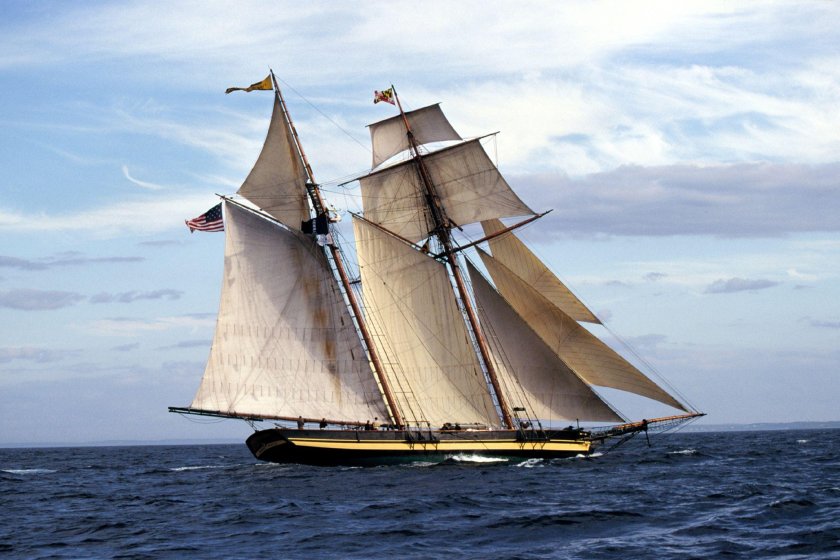 Балтиморская клипер-шхуна