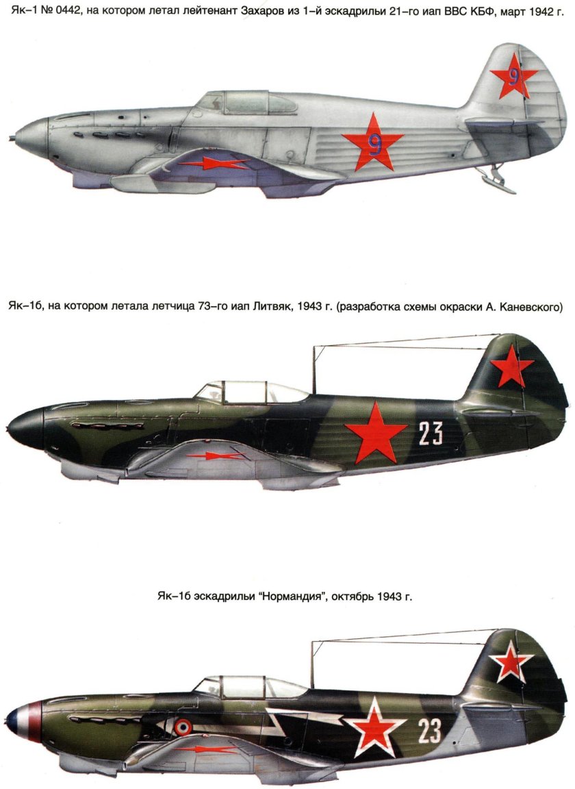 Гаргрот як - 1