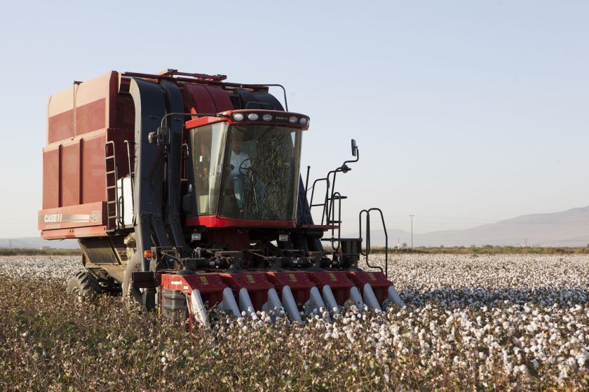 Хлопкоуборочный комбайн Case