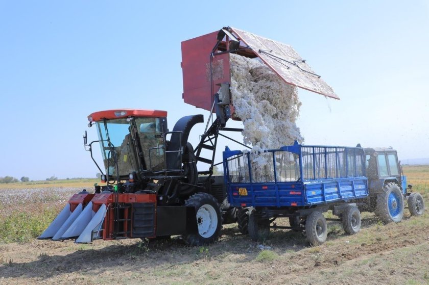 Пахта териш