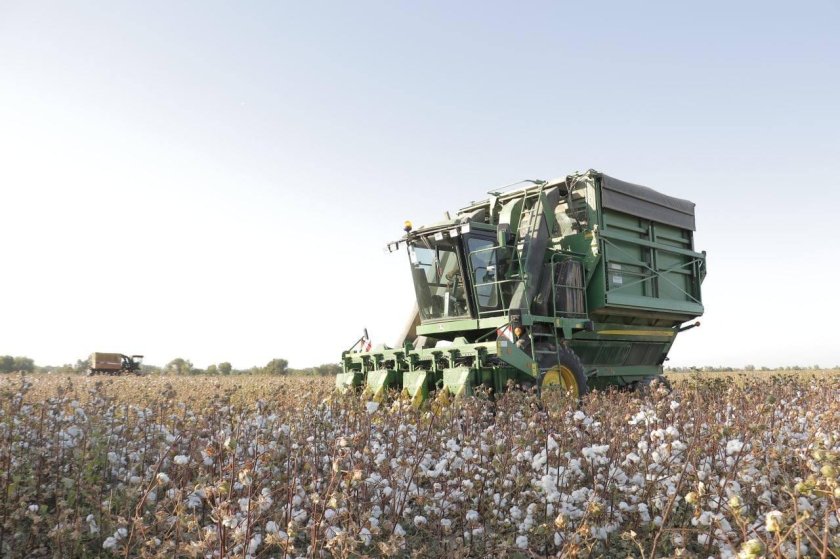 Пахта завод Узбекистан