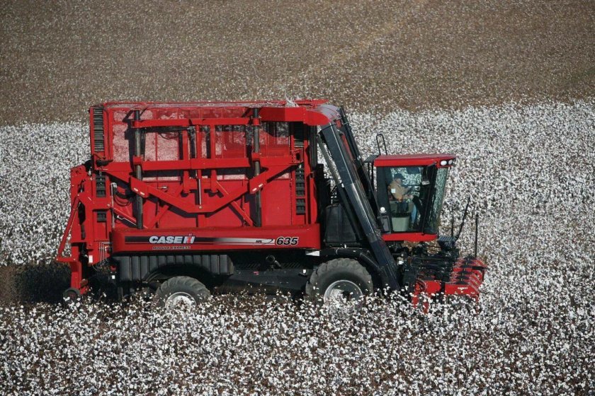 Case20022 Cotton Express