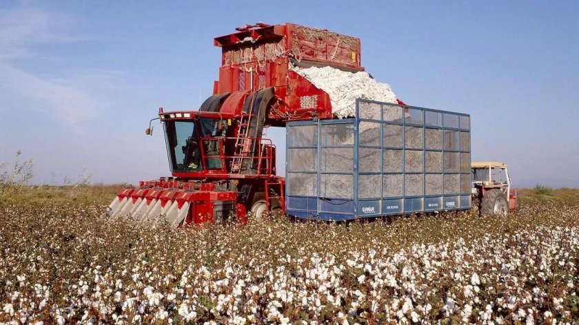 Хлопкоуборочная машина