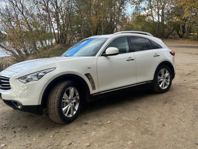 Финик FX 30d 2012 коричневый