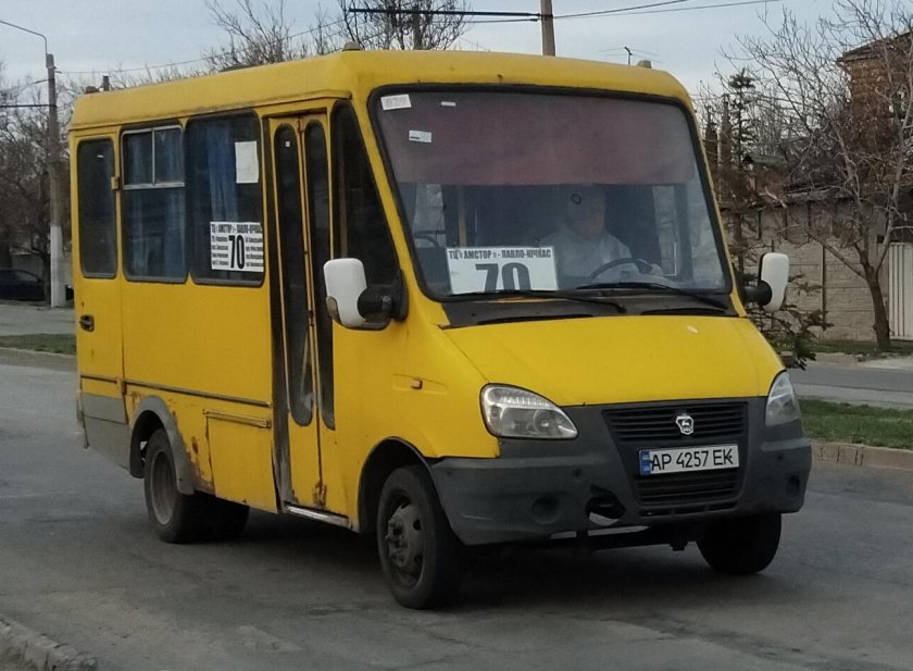 Баз 2215 дельфин