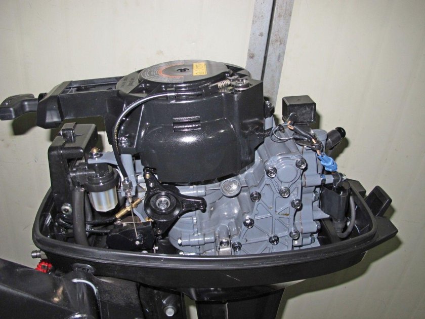 Suzuki DT 9.9 as
