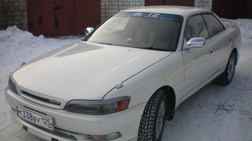 Цвет Снежная Королева Марк 2