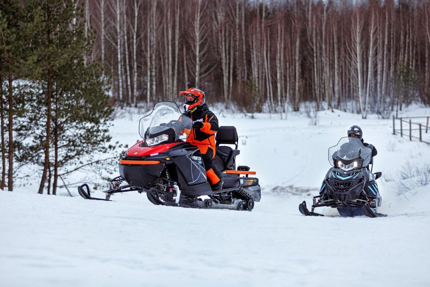 Снегоходы РМ