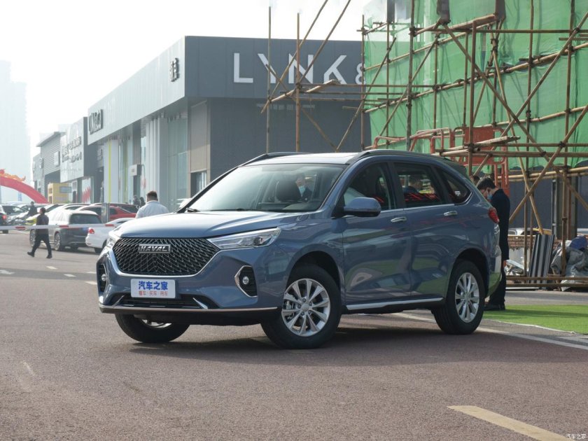 Китайский паркетник