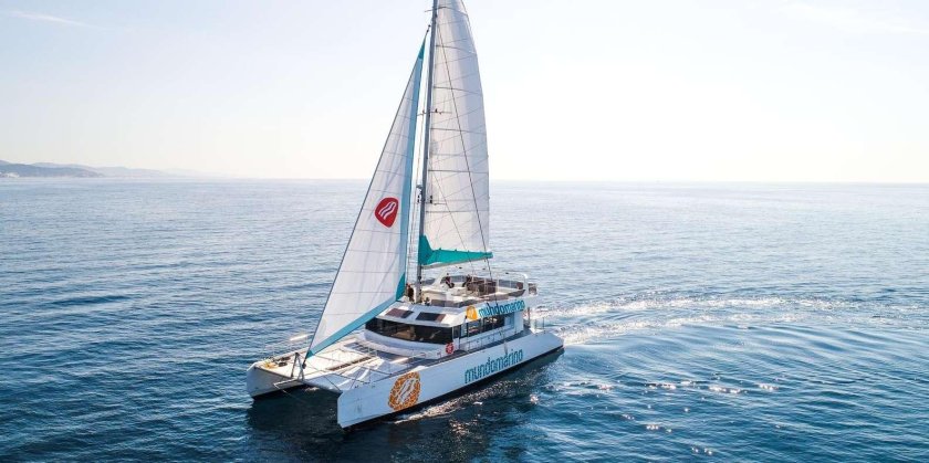 Парусные катамараны