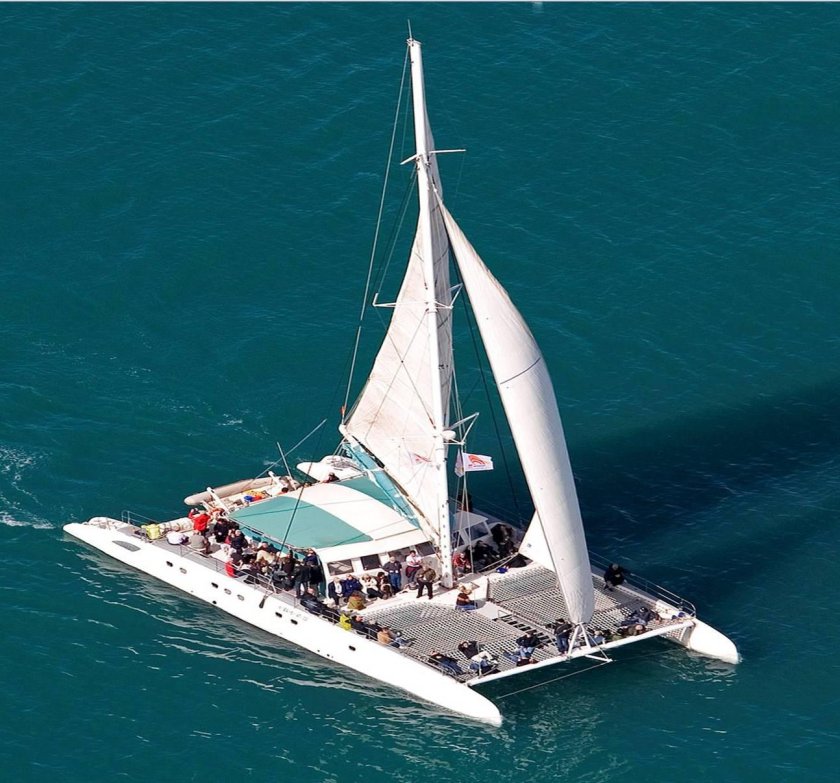 Парусный катамаран Парус 15 м