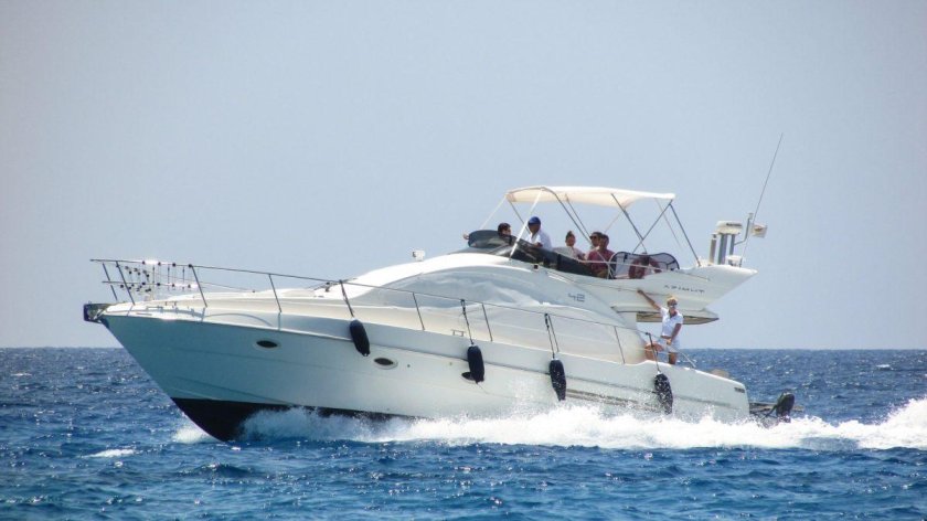 Катера и яхты