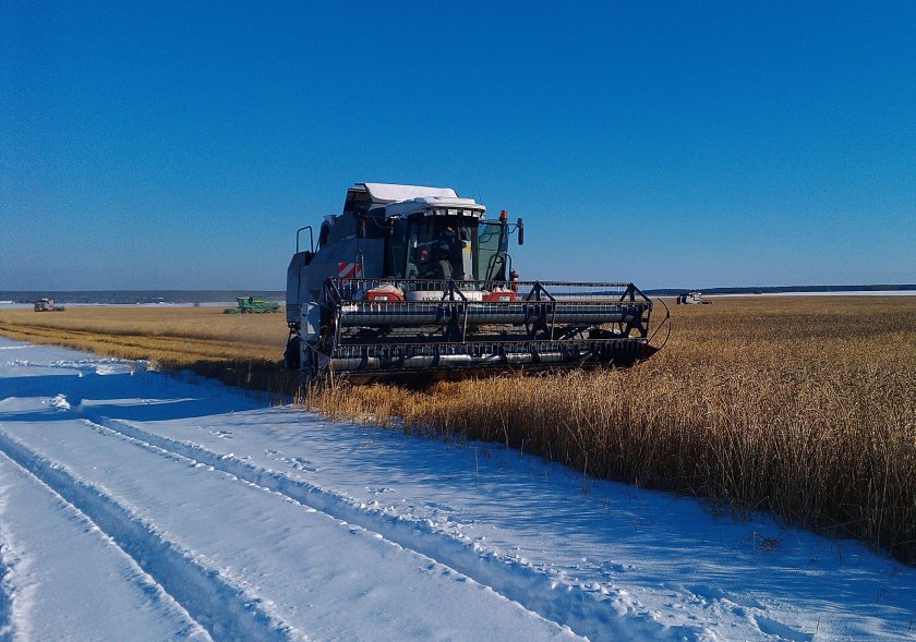 Сельское хозяйство зимой