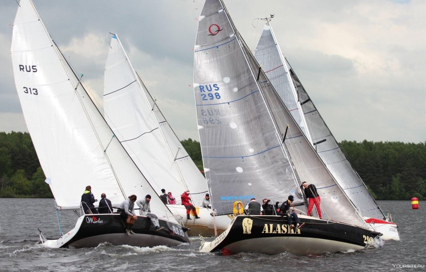 Парусный спорт