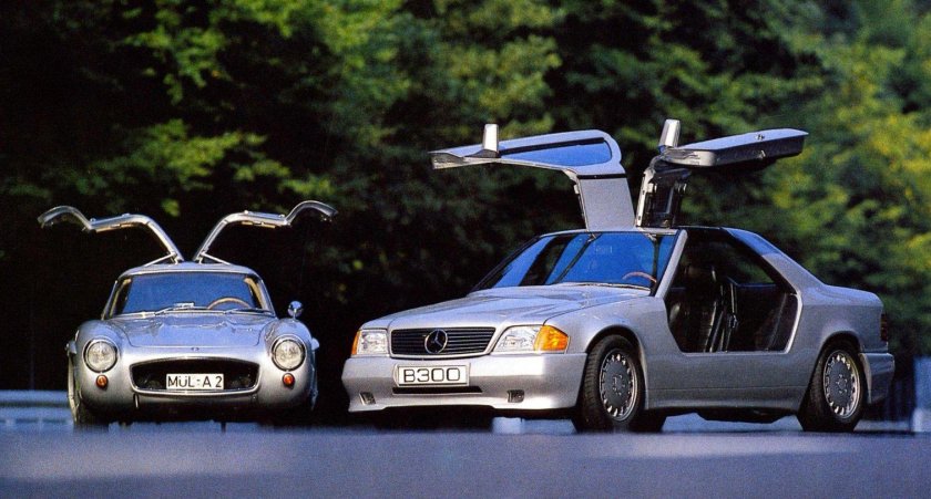 Двери крыло Чайки