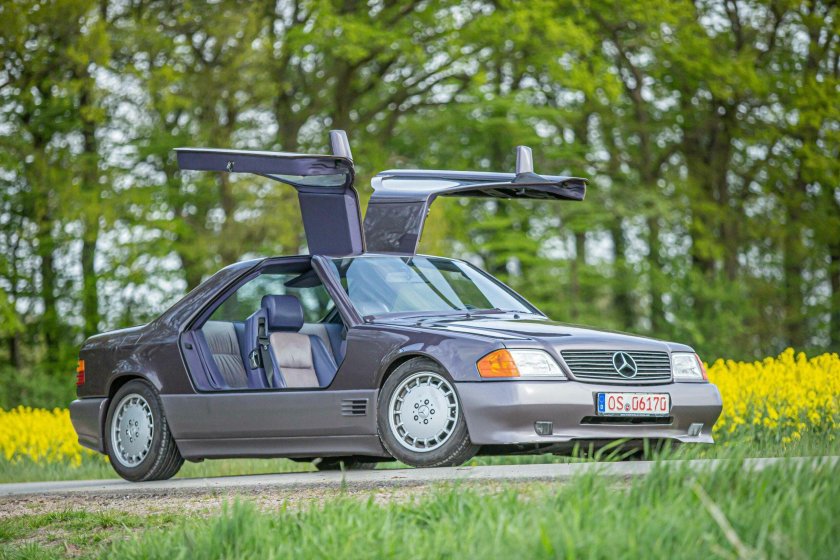 Двери крыло Чайки