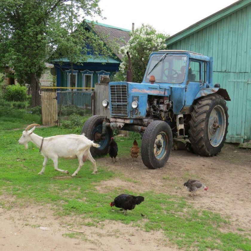 МТЗ-80 трактор