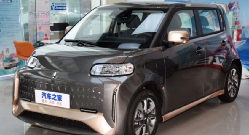 Ора автомобиль китайский