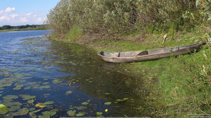 Древние лодки