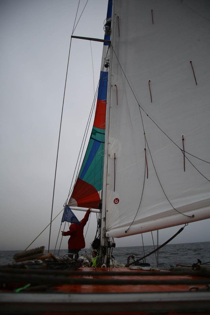 Спинакер гик на 420