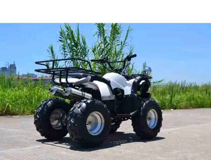 UTV 4 Wheel Buggy