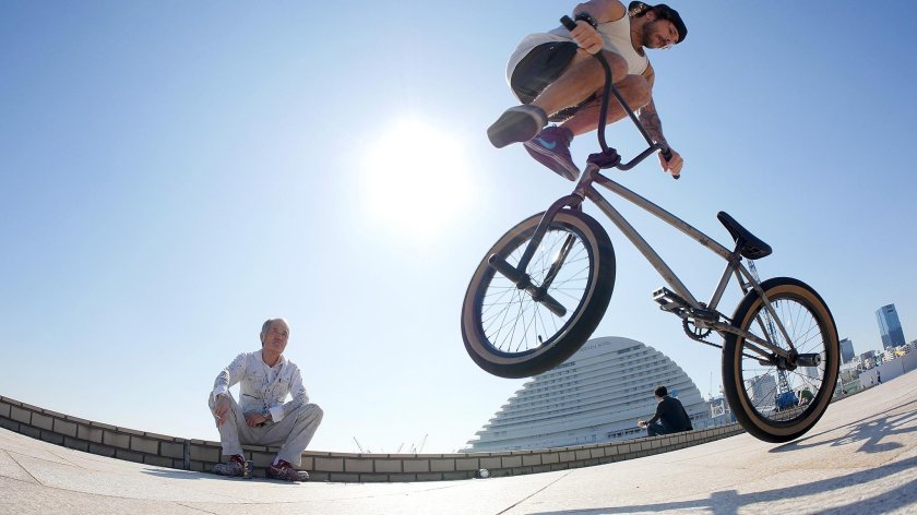 Бмх Флэтлэнд