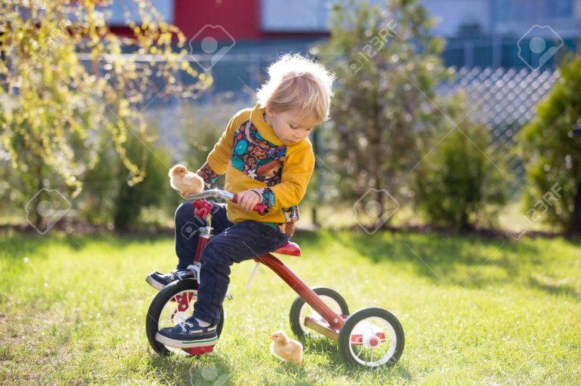 Несколько детей на трехколесном велосипеде