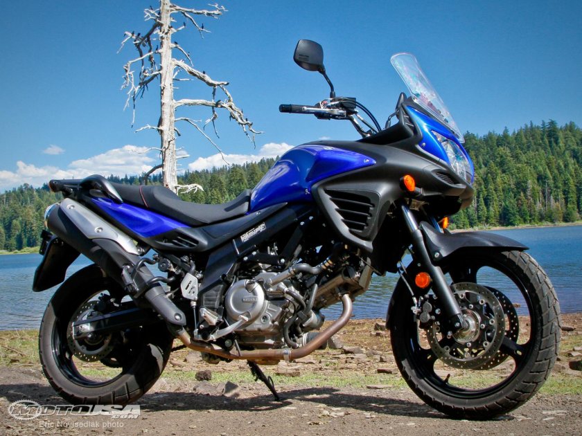 Suzuki v Storm 650