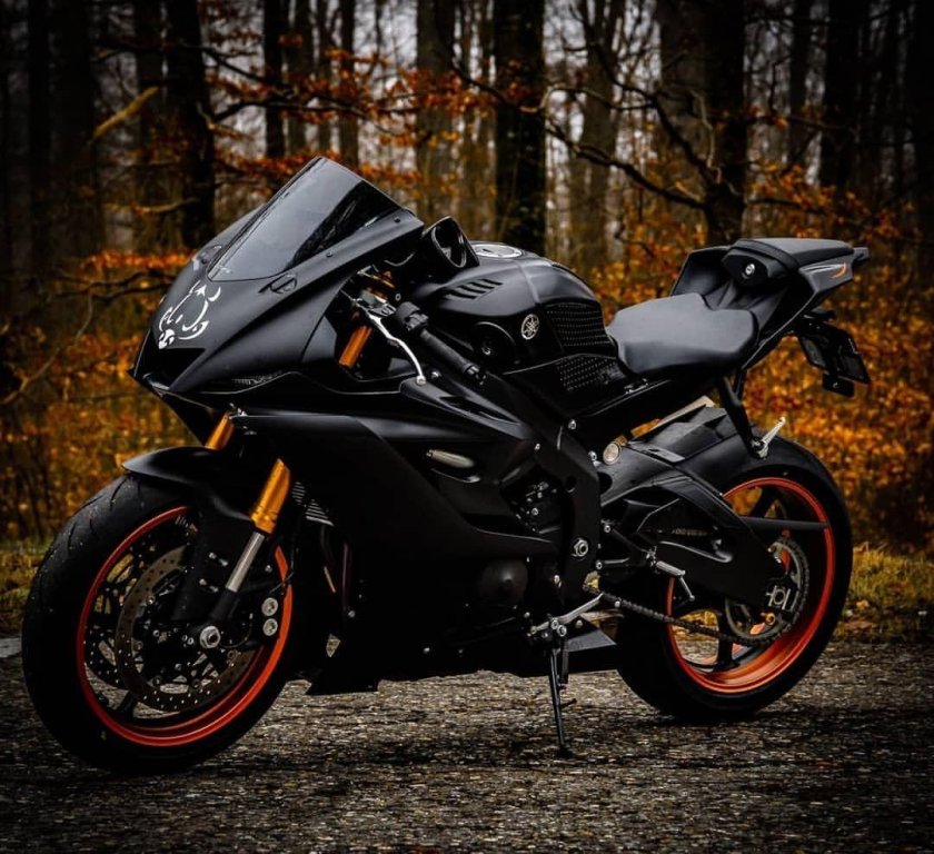 Ямаха р1 и Кавасаки