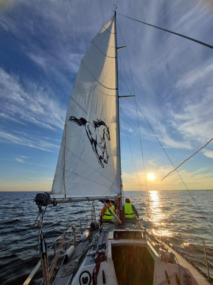 Парусные яхты