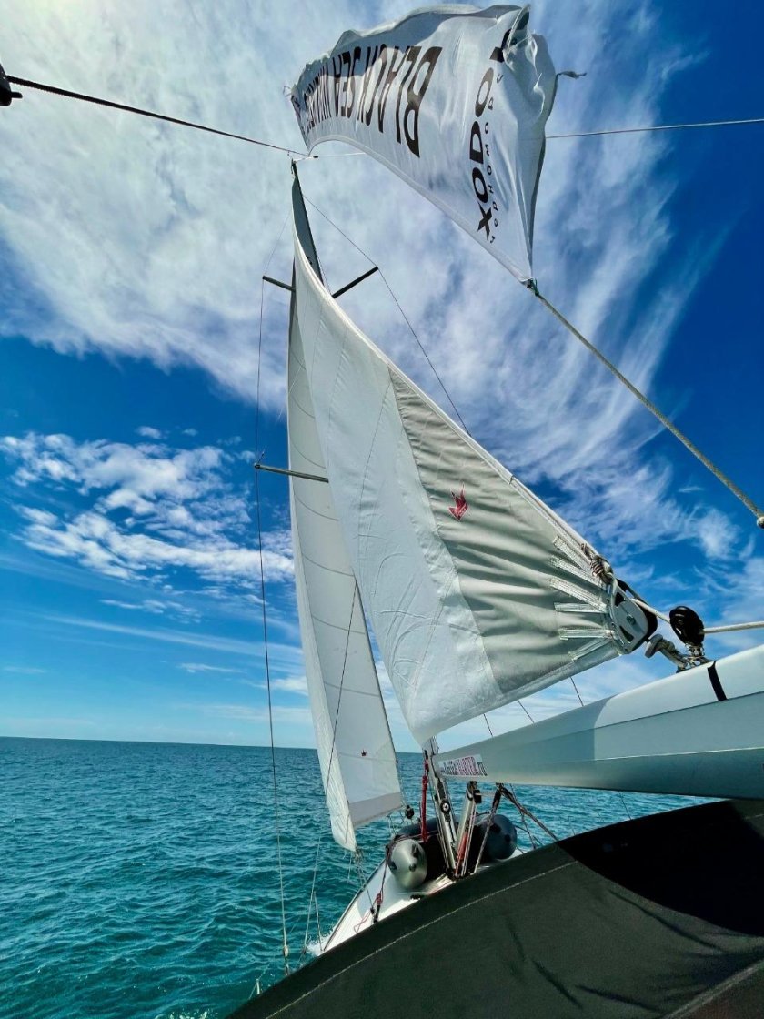 Альбин Вега 27 парусная яхта