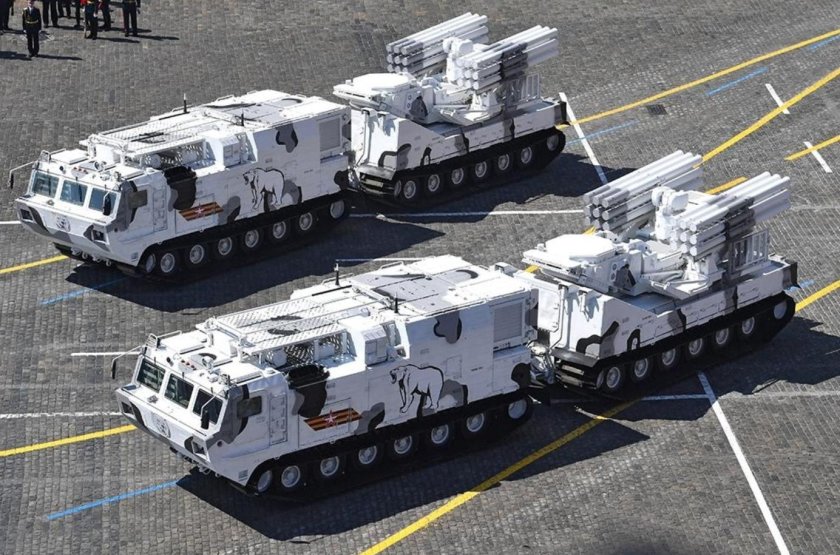 Панцирь-са Арктический