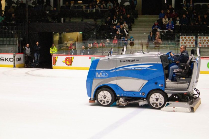 Zamboni 446