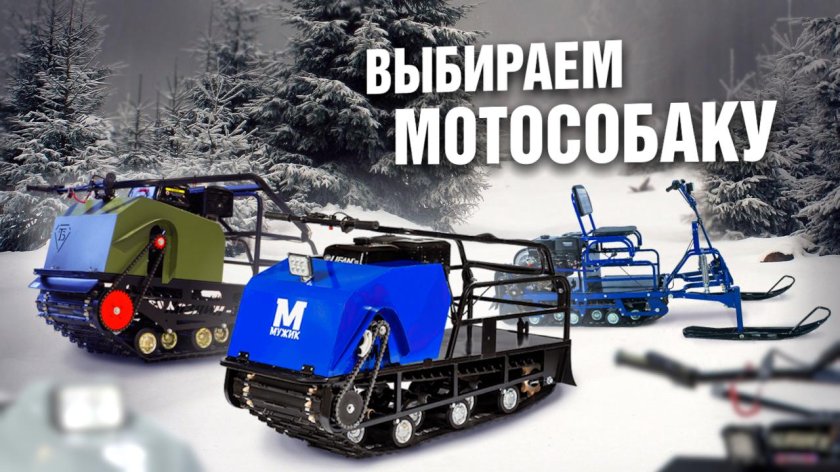 Винтер симулятор