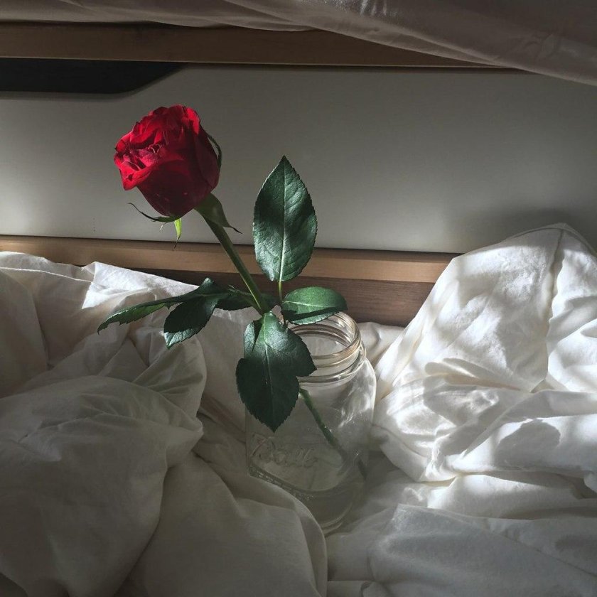 Кровать роза