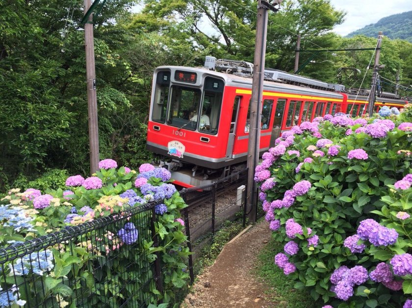 Поезд в цветах
