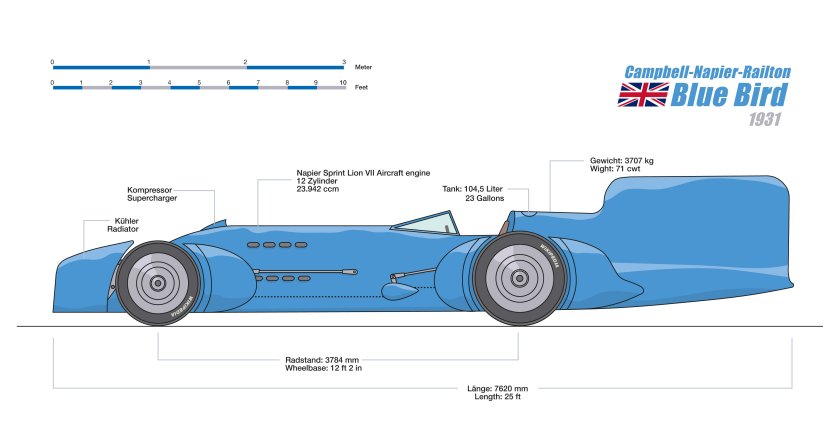 Napier-Campbell Blue Bird