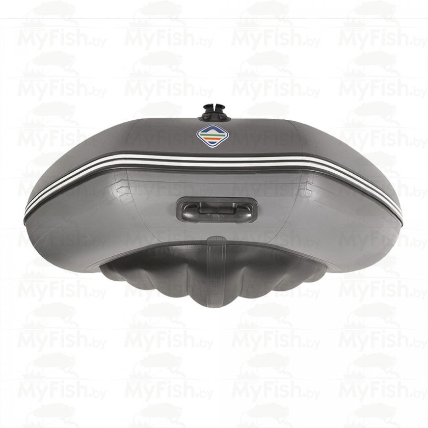 Лодка пилот 300