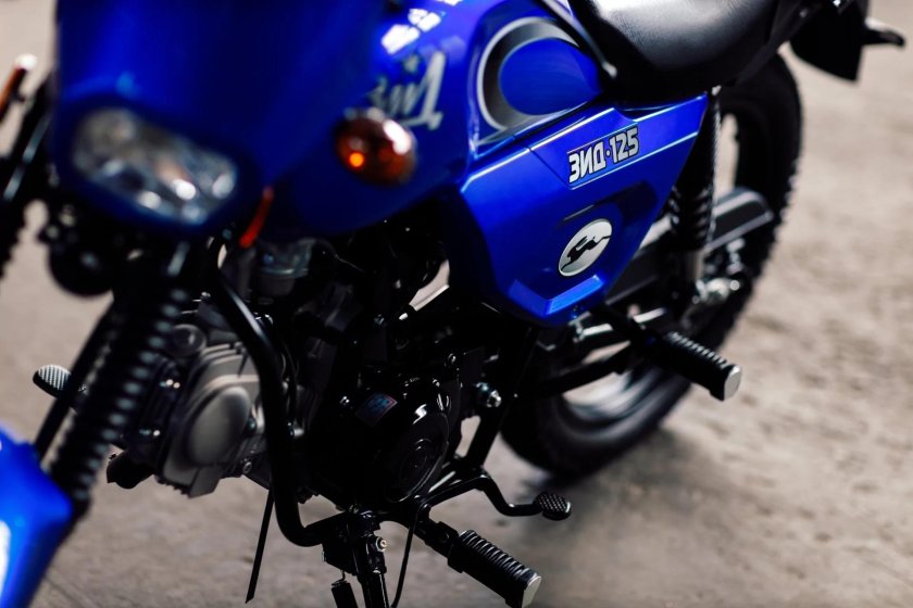 Alpha big Forest 50 (110)